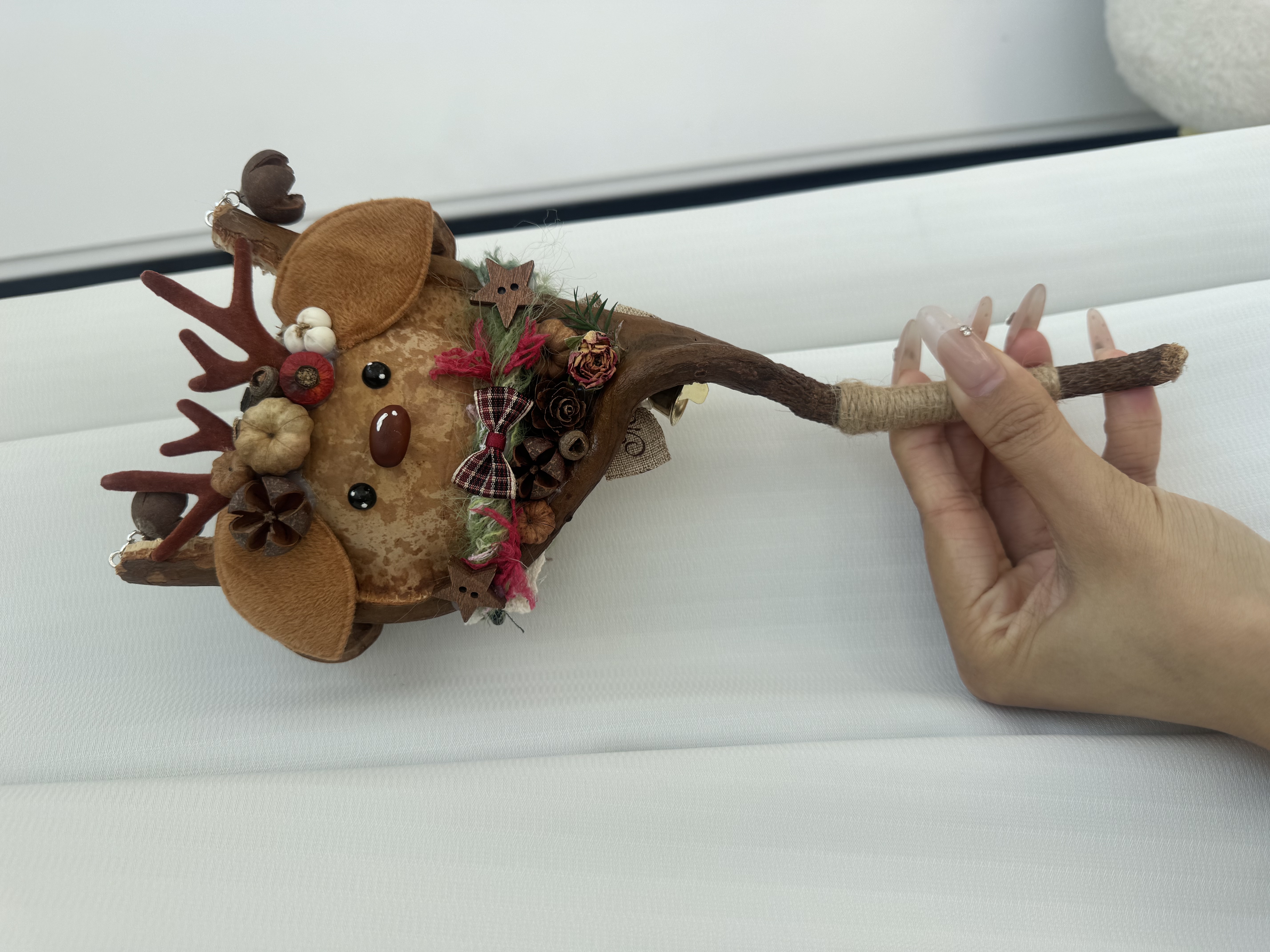 beans shell- Handcrafted miniature art collection | Unplanned Ink